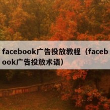 facebook广告投放教程（facebook广告投放术语）