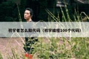 初学者怎么敲代码（初学编程100个代码）