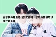 自学软件开发能找到工作吗（学软件开发可以找什么工作）