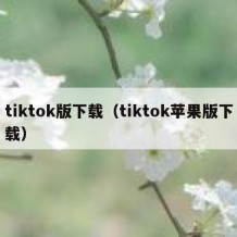 tiktok版下载（tiktok苹果版下载）