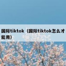 国际tiktok（国际tiktok怎么才能用）