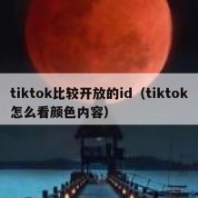 tiktok比较开放的id（tiktok怎么看颜色内容）