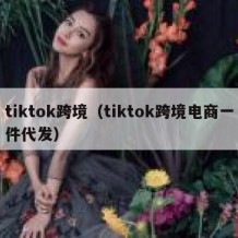 tiktok跨境（tiktok跨境电商一件代发）