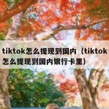 tiktok怎么提现到国内（tiktok怎么提现到国内银行卡里）