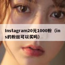 Instagram20元1000粉（ins的粉丝可以买吗）