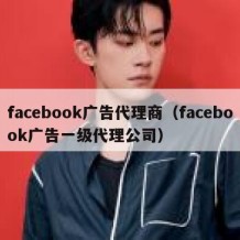 facebook广告代理商（facebook广告一级代理公司）