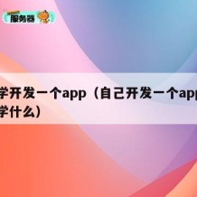 自学开发一个app（自己开发一个app需要学什么）