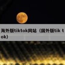 海外版tiktok网站（国外版tik tok）