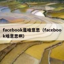 facebook是啥意思（facebook啥意思啊）