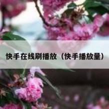 快手在线刷播放（快手播放量）
