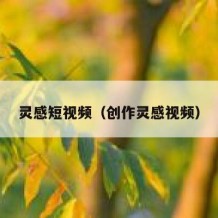 灵感短视频（创作灵感视频）