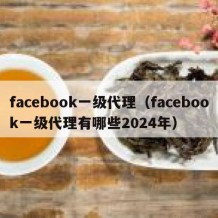 facebook一级代理（facebook一级代理有哪些2024年）