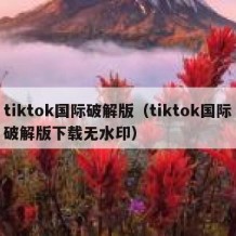 tiktok国际破解版（tiktok国际破解版下载无水印）