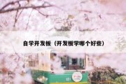 自学开发板（开发板学哪个好些）