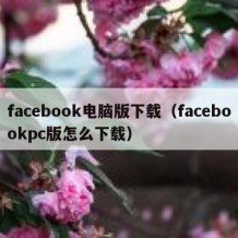 facebook电脑版下载（facebookpc版怎么下载）