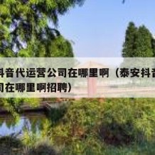 泰安抖音代运营公司在哪里啊（泰安抖音代运营公司在哪里啊招聘）
