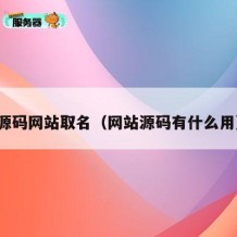 源码网站取名（网站源码有什么用）