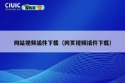 网站视频插件下载（网页视频插件下载）