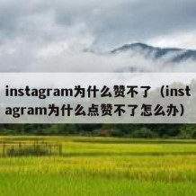 instagram为什么赞不了（instagram为什么点赞不了怎么办）