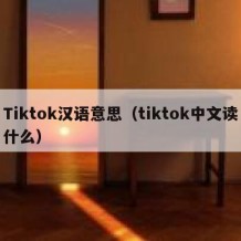 Tiktok汉语意思（tiktok中文读什么）