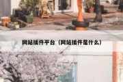 网站插件平台（网站插件是什么）