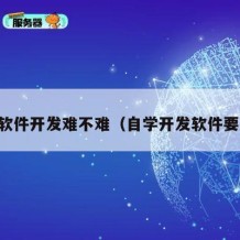 自学软件开发难不难（自学开发软件要多久）