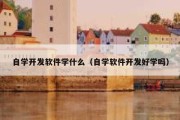 自学开发软件学什么（自学软件开发好学吗）