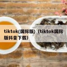 tiktok(国际版)（tiktok国际版抖音下载）