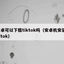 安卓可以下载tiktok吗（安卓机安装tiktok）