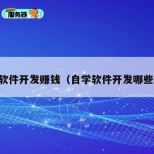 自学软件开发赚钱（自学软件开发哪些书籍）