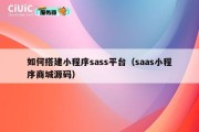 如何搭建小程序sass平台（saas小程序商城源码）