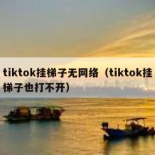 tiktok挂梯子无网络（tiktok挂梯子也打不开）