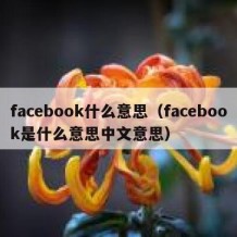 facebook什么意思（facebook是什么意思中文意思）