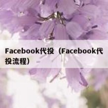 Facebook代投（Facebook代投流程）