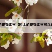 网上的视频素材（网上的视频素材可以直接用吗）