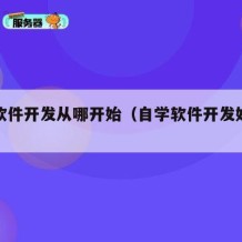 自学软件开发从哪开始（自学软件开发好找工作吗）