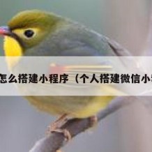 个人怎么搭建小程序（个人搭建微信小程序）