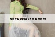 自学开发可行吗（自学 程序开发）