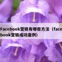 Facebook营销有哪些方法（facebook营销成功案例）