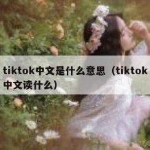tiktok中文是什么意思（tiktok中文读什么）