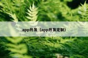 app开发（app开发定制）