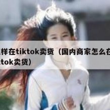 怎样在tiktok卖货（国内商家怎么在tiktok卖货）