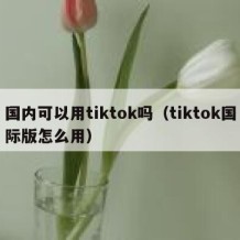 国内可以用tiktok吗（tiktok国际版怎么用）