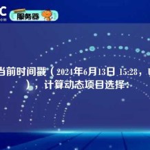 根据当前时间戳（2024年6月13日 15:28，UTC+8），计算动态项目选择：