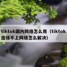 tiktok国内网络怎么用（tiktok连接不上网络怎么解决）