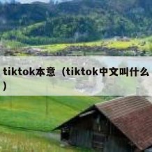 tiktok本意（tiktok中文叫什么）