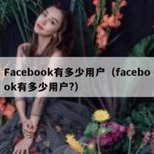 Facebook有多少用户（facebook有多少用户?）