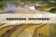 成品源码搭建网站（源码如何搭建网站）