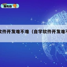 自学软件开发难不难（自学软件开发难不难学）