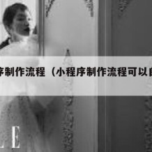 小程序制作流程（小程序制作流程可以自己制作吗）